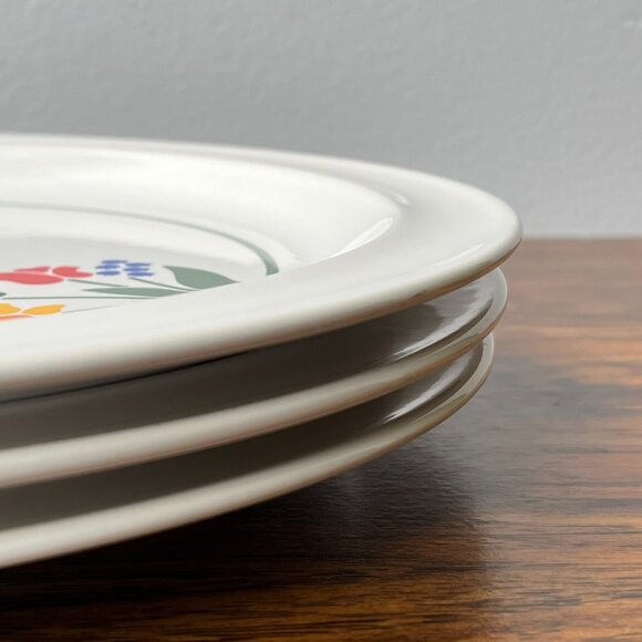 Anchor Hocking Greenhouse 3 Stoneware Dinner Plates Japan - Picture 6 of 10